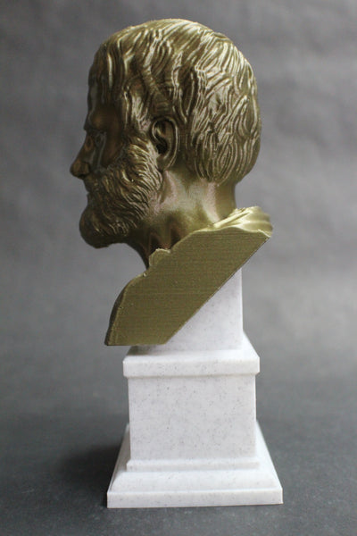 Aristotle Greek Philosopher Sculpture Bust on Box Plinth