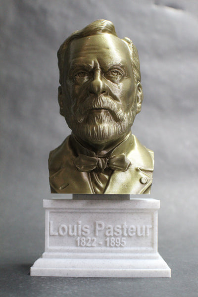 Louis Pasteur French Biologist, Microbiologist, and Chemist Sculpture Bust on Box Plinth
