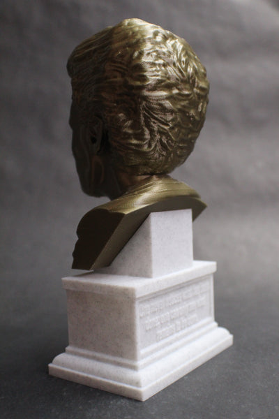 Marie Curie Polish Chemist, Nobel Prize Winner, and Researcher of Radioactivity Sculpture Bust on Box Plinth