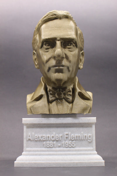 Alexander Fleming Famous Scottish Biologist, Physician, and Pharmacologist Sculpture Bust on Box Plinth