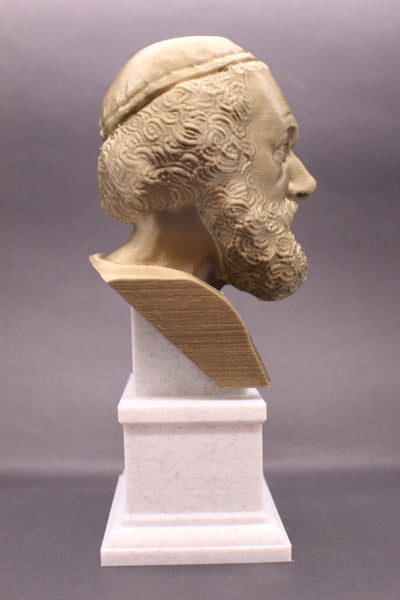 Homer Greek Author of Iliad and The Odyssey Sculpture Bust on Box Plinth