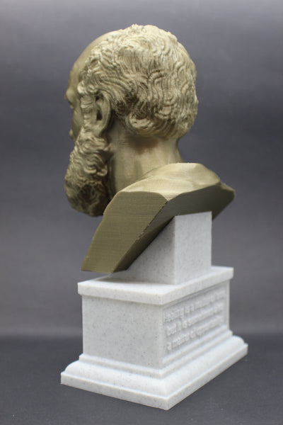 Hippocrates of Kos Greek Physician Father of Medicine Sculpture Bust on Box Plinth
