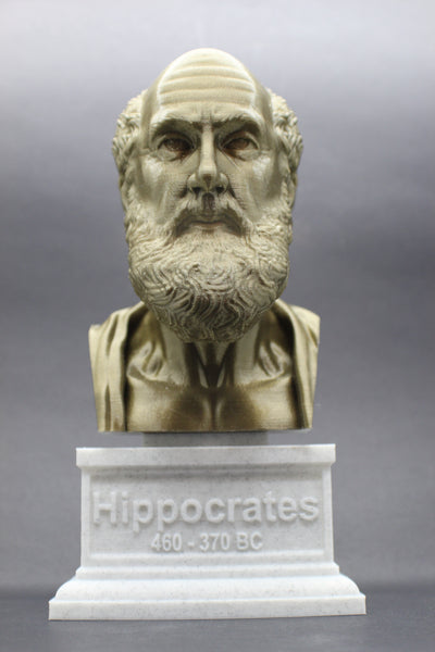 Hippocrates of Kos Greek Physician Father of Medicine Sculpture Bust on Box Plinth