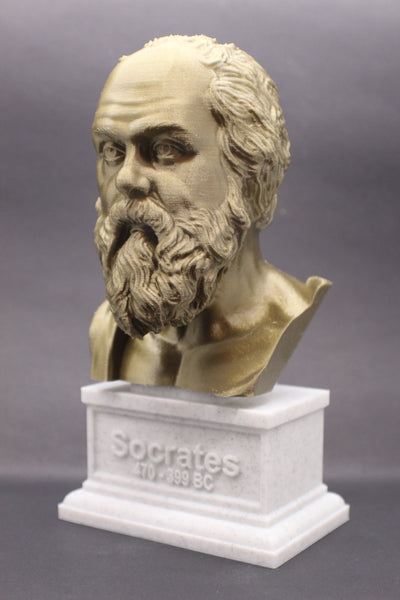 Socrates Greek Philosopher Sculpture Bust on Box Plinth