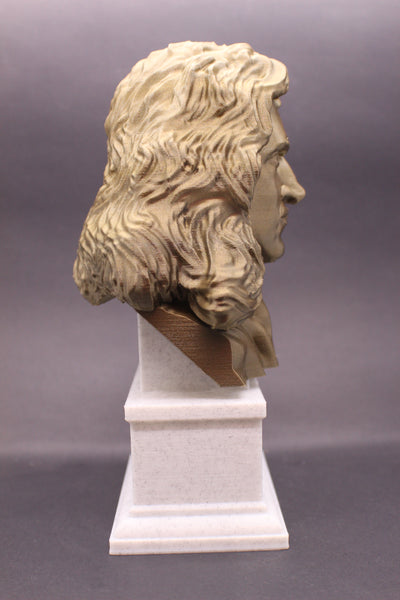 Isaac Newton Famous English Mathematician, Physicist and Astronomer Sculpture Bust on Box Plinth