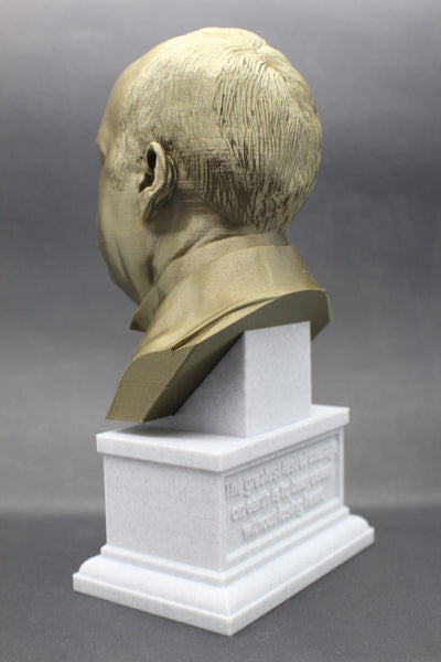 Robert G. Ingersoll Famous American Lawyer Sculpture Bust on Box Plinth