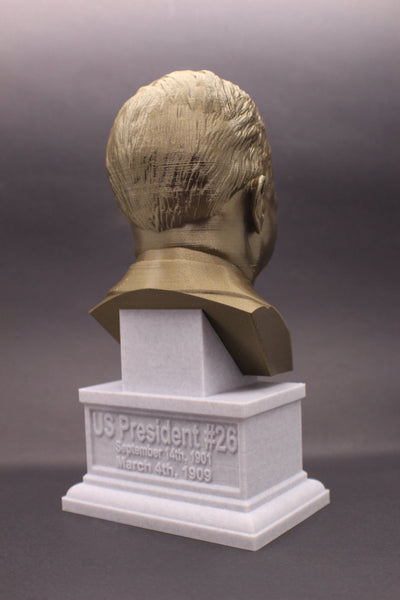 Theodore Roosevelt, 26th US President, Sculpture Bust on Box Plinth