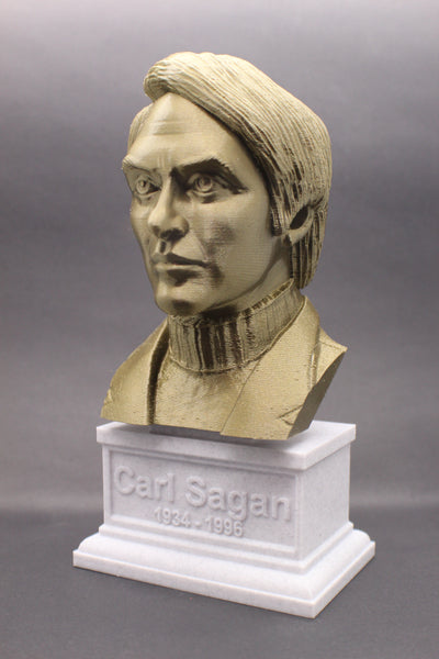 Carl Sagan Famous American Astronomer Sculpture Bust on Box Plinth
