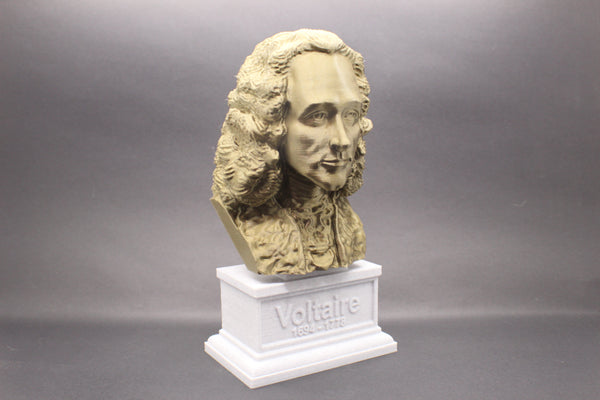 Voltaire French Enlightenment Philosopher Sculpture Bust on Box Plinth
