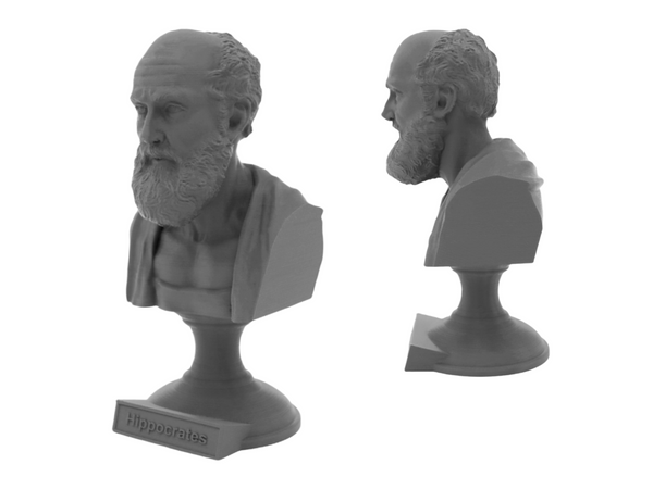Hippocrates of Kos Greek Physician Sculpture Bust on Pedestal