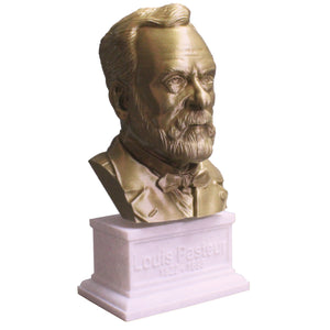 Louis Pasteur French Biologist, Microbiologist, and Chemist Sculpture Bust on Box Plinth