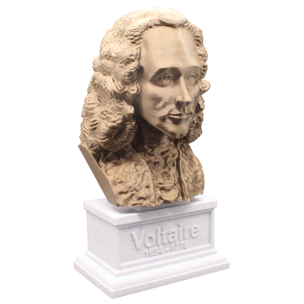 Voltaire French Enlightenment Philosopher Sculpture Bust on Box Plinth